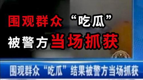 安阳吃瓜最新事件爆料新闻,最新爆料揭示惊人内幕