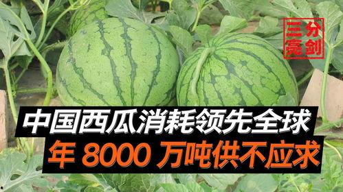 广州吃瓜爆料是真的吗,真相揭秘还是无稽之谈？