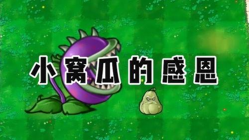 吃瓜爆料官网小僵尸,吃瓜爆料官网揭秘神秘网络红人