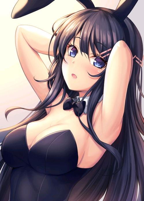 动漫兔女郎,兔女郎的奇幻冒险之旅