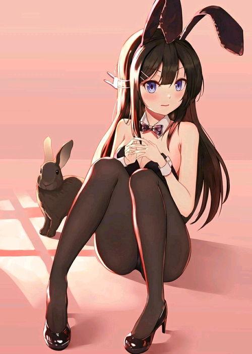 动漫兔女郎,兔女郎的奇幻冒险之旅
