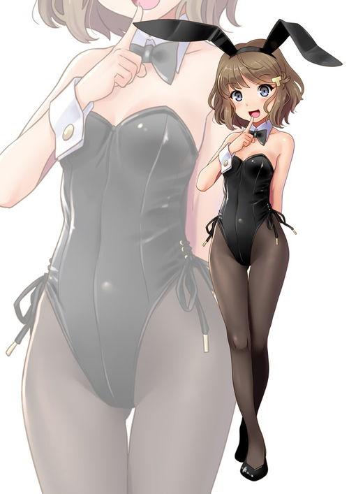 动漫兔女郎,兔女郎的奇幻冒险之旅