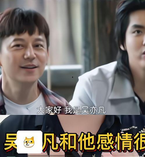吃瓜视频大爆料合集在线观看,热门事件幕后真相全解析