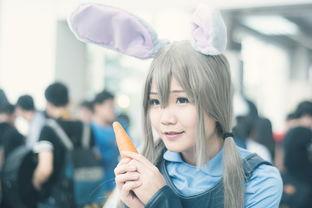 动漫拍拍拍,捕捉光影中的青春记忆