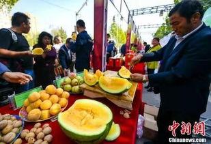 礼泉吃瓜最新事件爆料,最新爆料揭示惊人内幕