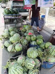 淄博吃瓜爆料事件真相,揭秘背后真相与网络舆论的反思