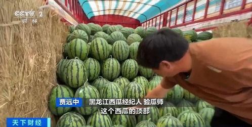 全国各地吃瓜爆料图片,各地特色吃瓜瞬间大盘点