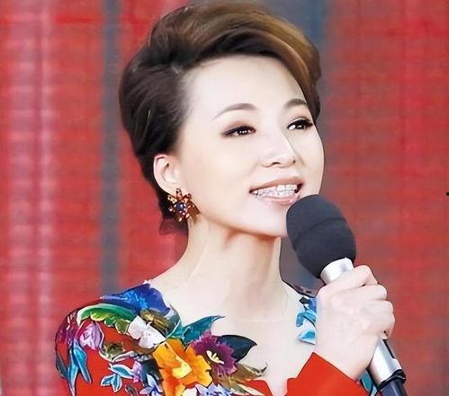 吃瓜爆料董卿李思思,揭秘娱乐圈的瓜田秘闻