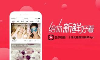 吃瓜爆料正能量最新视频,揭秘视频背后的感人故事