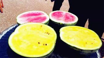 吃瓜爆料图片高清壁纸大全,吃瓜爆料图片大全赏析