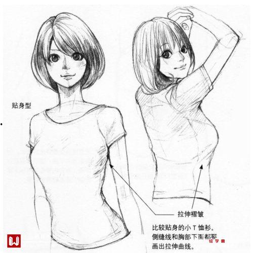 乳房动漫,探索女性美的独特视角
