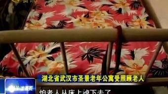 绳艺动漫,探索束缚与自由的视觉艺术之旅