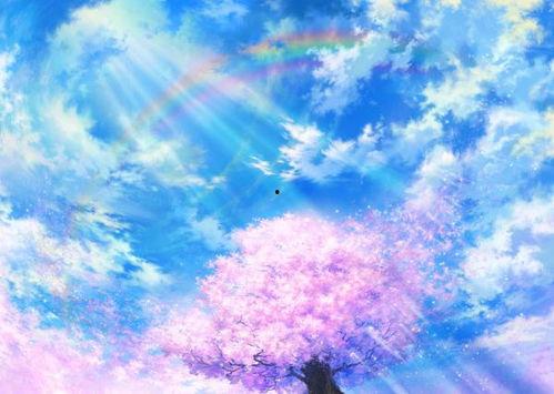 动漫天空,探索动漫世界的无限魅力