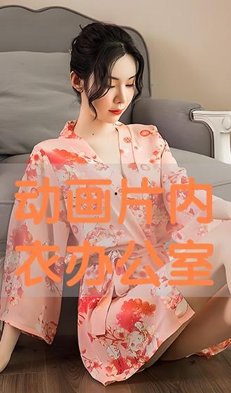 内衣办公室动漫观看,职场激情与职场智慧交织的动漫故事