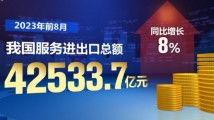 国产 在线精品,引领潮流的文化创新之旅