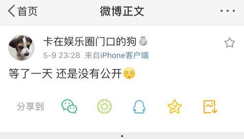各种爆料吃瓜视频网站,吃瓜视频网站背后的真相大起底
